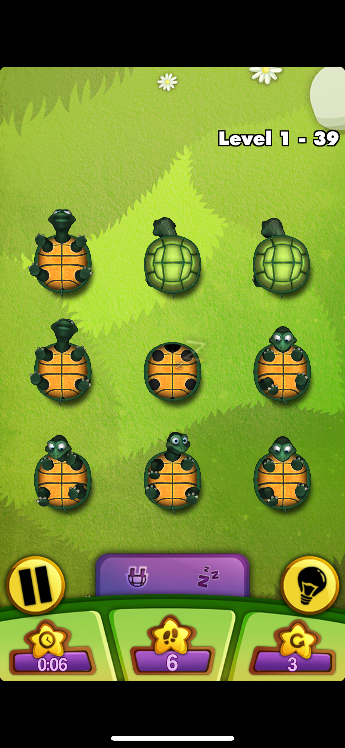 Turtles