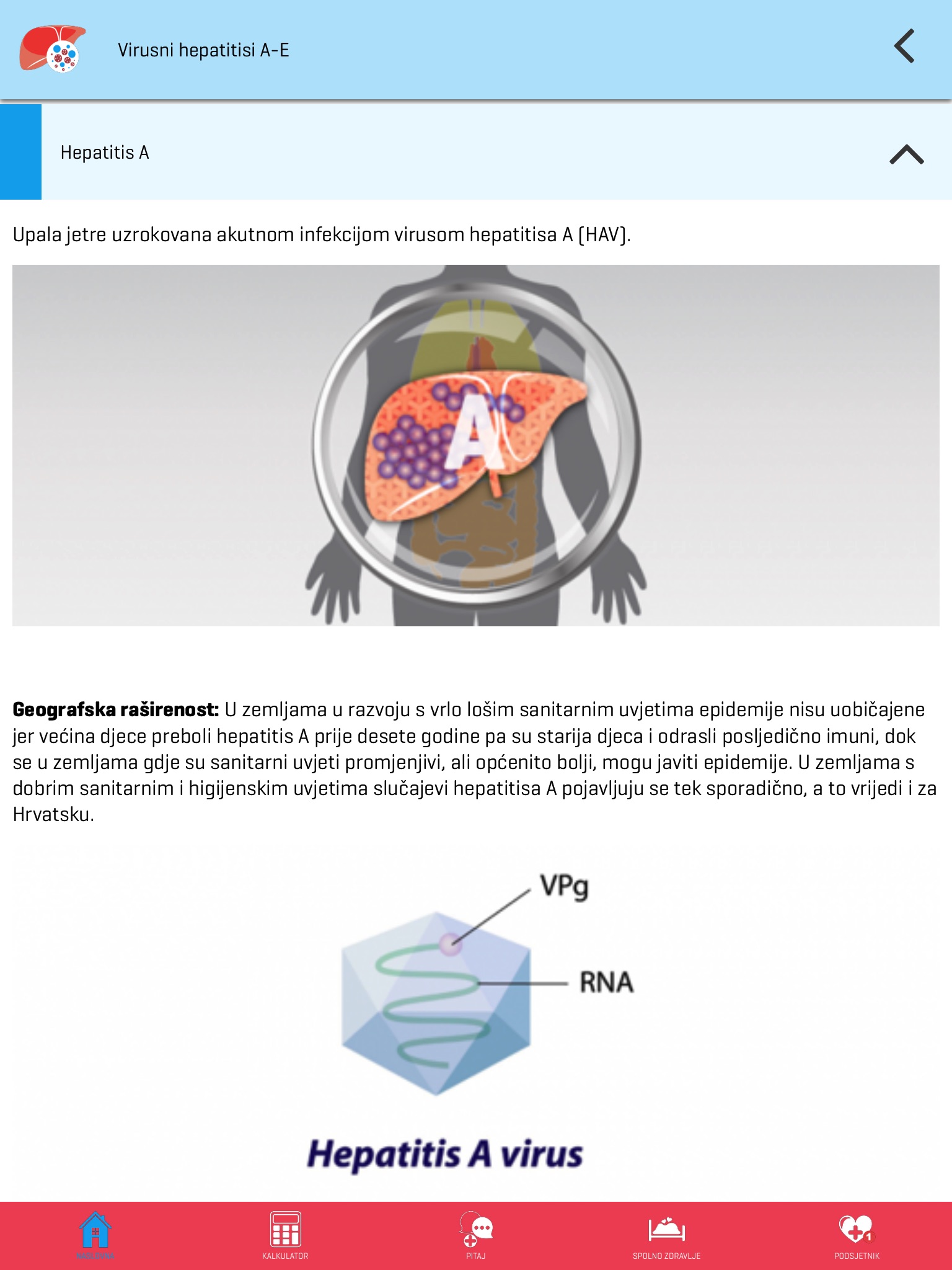 Sve o hepatitisu screenshot 3