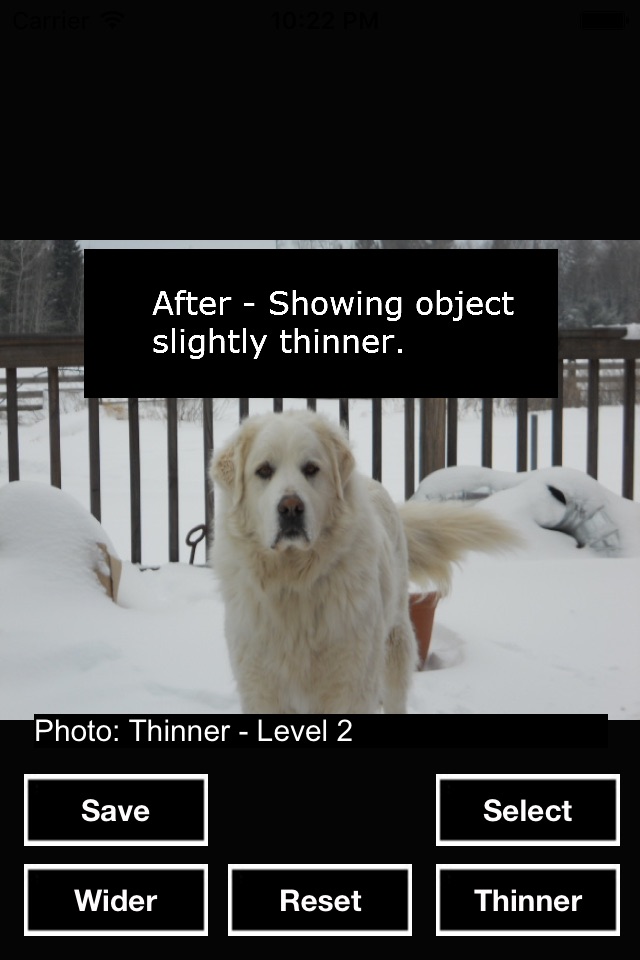 LittleThinner screenshot 2