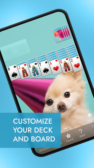 ⋆Spider Solitaire: Card Games Screenshot