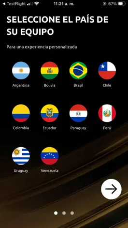 Game screenshot CONMEBOL Libertadores apk
