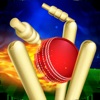 Runout Master - 3D Cricket