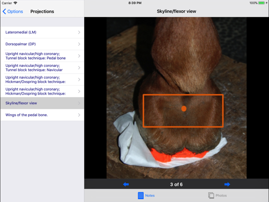 Equine Radiography iPad app afbeelding 5