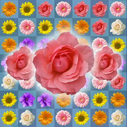 Blossom Link: Flower Valley Читы
