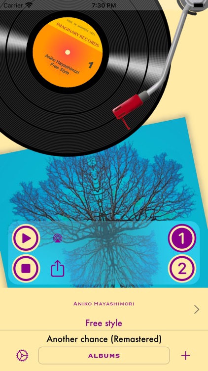 Vinyl Fetish - music player