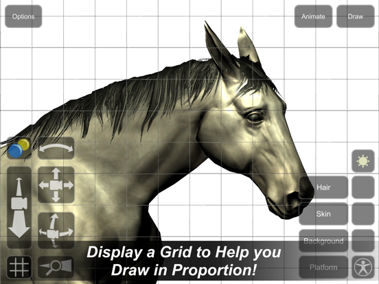 Horse Mannequin iPad screenshot 4 - Education app