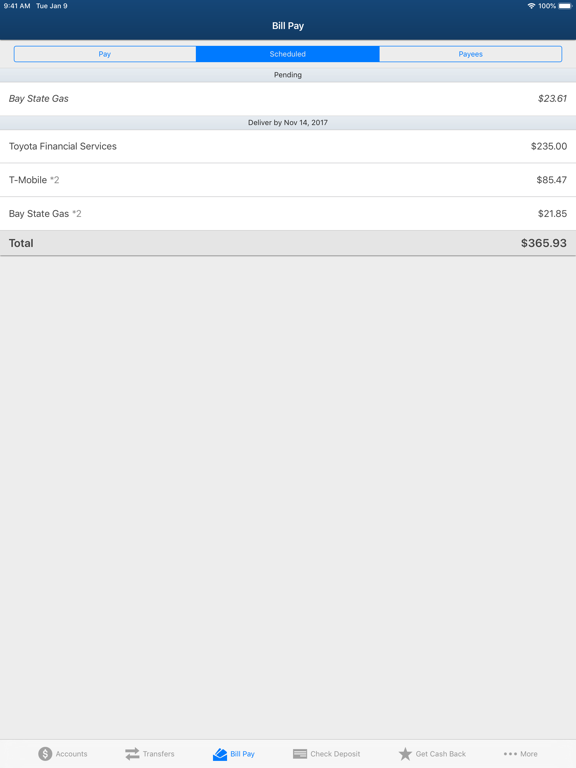 FMBERLIN iPad screenshot 5 - Finance app