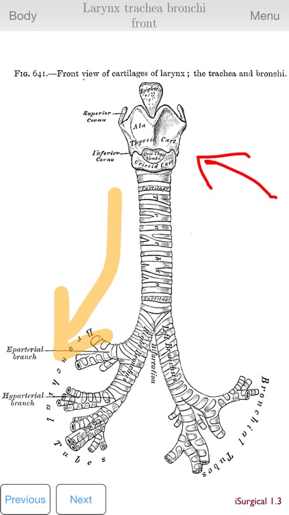 iSurgical