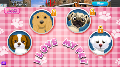Dog Pet Care Clinic Screenshot