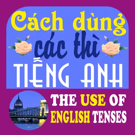 Cách dùng các thì tiếng Anh Cheats