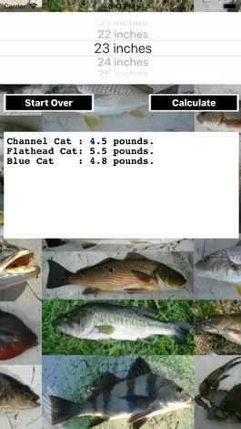 Game screenshot Fishing Scale apk