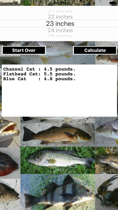 Screenshot #2 pour Fishing Scale