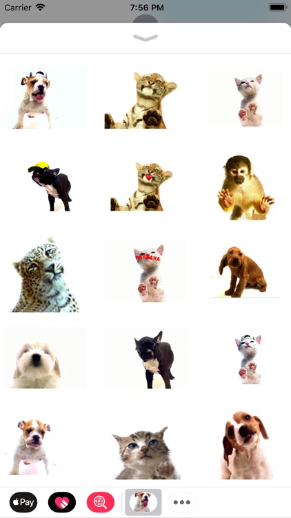Slurp stickers for pet lovers screenshot-3