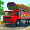 Indian Heavy Truck Driver 3D icon