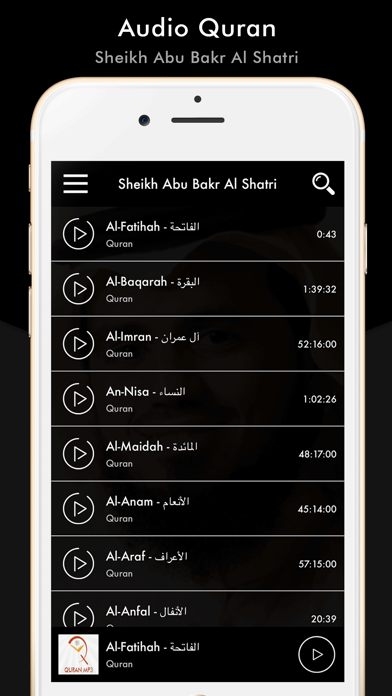 Screenshot #5 for Quran Sheikh Abu Bakr Al Shatr