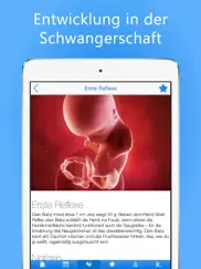 meine schwangerschafts-app ipad bildschirmfoto 1