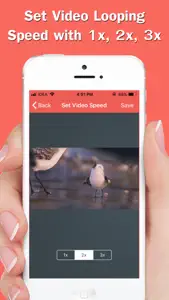 Infinite Loop Video & Reverse screenshot #5 for iPhone