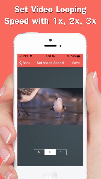 Infinite Loop Video & Reverse screenshot-4