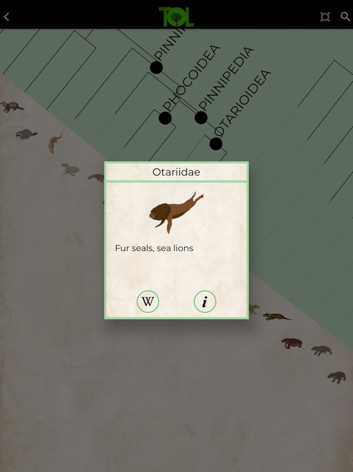 Tree of Life - ToL App