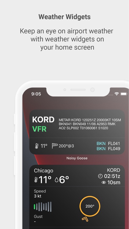 Noisy Goose screenshot-4