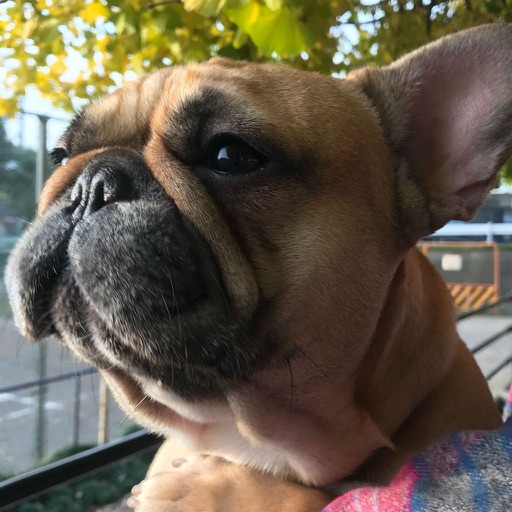 おさんぽライフ