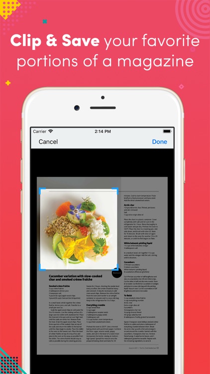 The Pro Chef Middle East