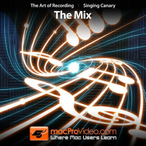 The Mix - The Art of Recording