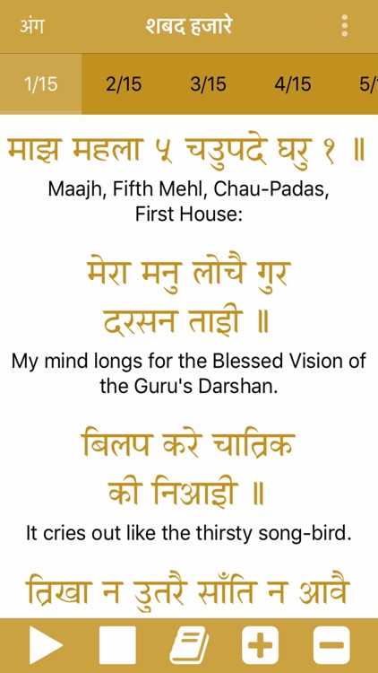 Shabad Hazare Paath screenshot-3