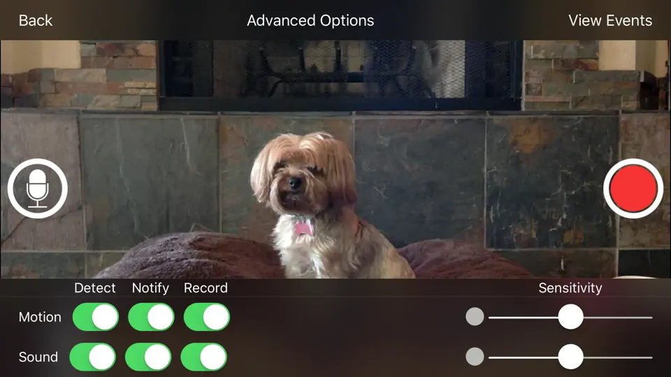 Capture d'écran de ICam Pro - Webcam Streaming sur iPhone 2