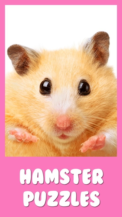 Hamster Jigsaw Puzzle Games by Irina Schens