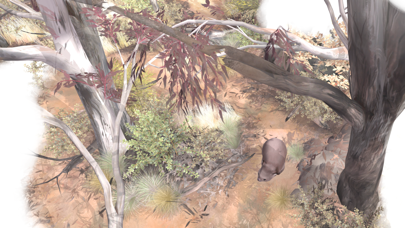 カユプテの木のおすすめ画像2