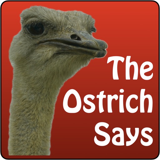 The Ostrich Says