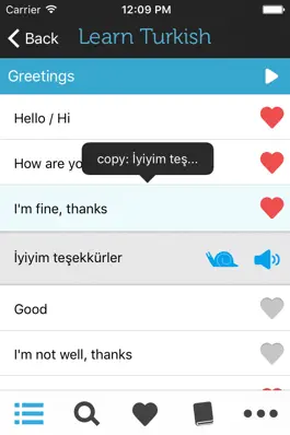 Game screenshot Learn Turkish - Phrasebook apk