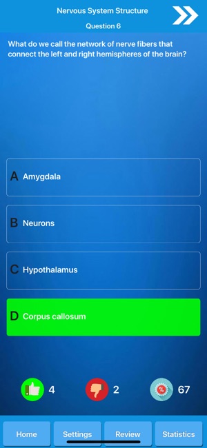 Human Nervous System Anatomy(圖6)-速報App