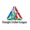 Triangle Cricket League (TCL) problems & troubleshooting and solutions