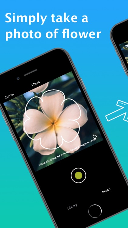 What Flower - Plant Identifier