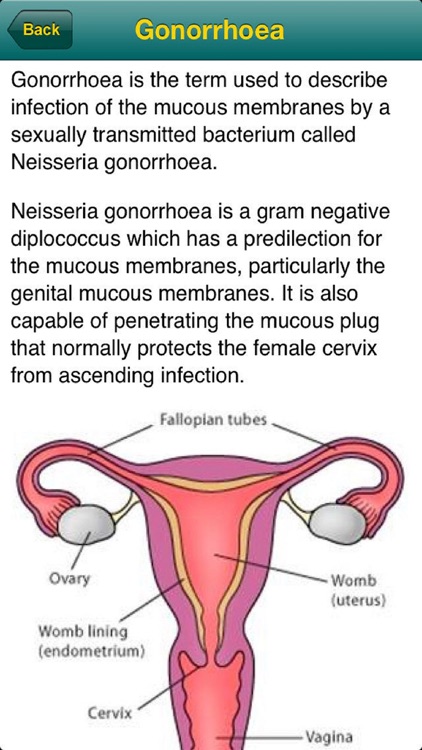 Your Rapid Diagnosis - STD