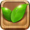 Home Remedies Natural Ayurveda App Support