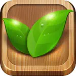 Home Remedies Natural Ayurveda App Alternatives