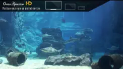 Ocean Aquarium HD iPhone image 2