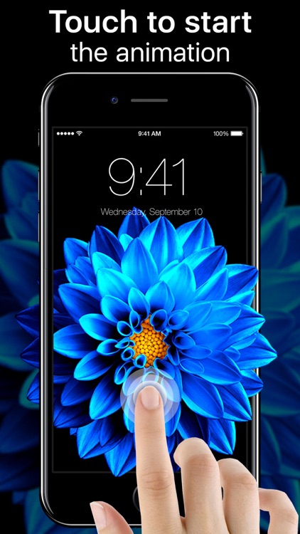 Live Wallpapers Now