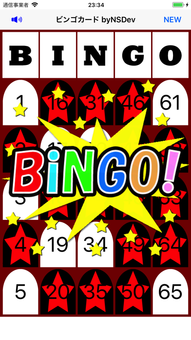 BingoCard byNSDevのおすすめ画像1