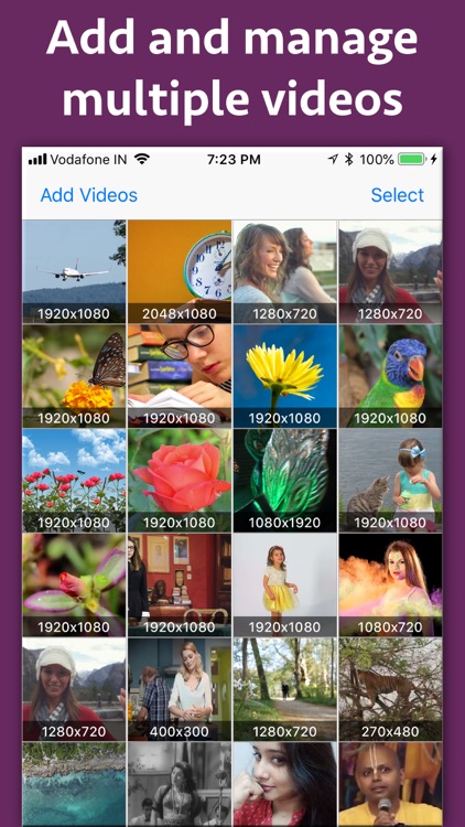 Backwards Video Maker
