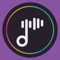 Welcome to the Music Experience Revolution