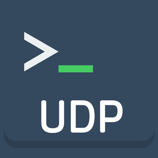 UDP Terminal iOS App