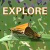 Explore Wild Essex icon