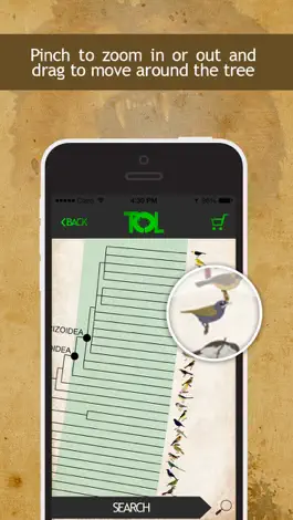Game screenshot Tree of Life - ToL App apk