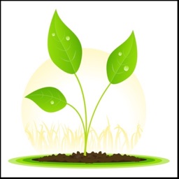 Mindful - Mood Diary