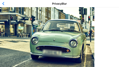 PrivacyBlur Screenshot