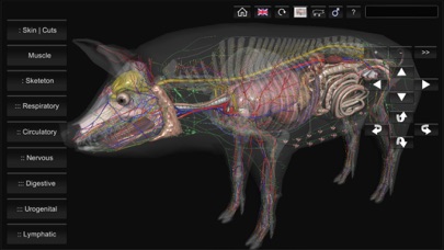 3D Pig Anatomyのおすすめ画像6